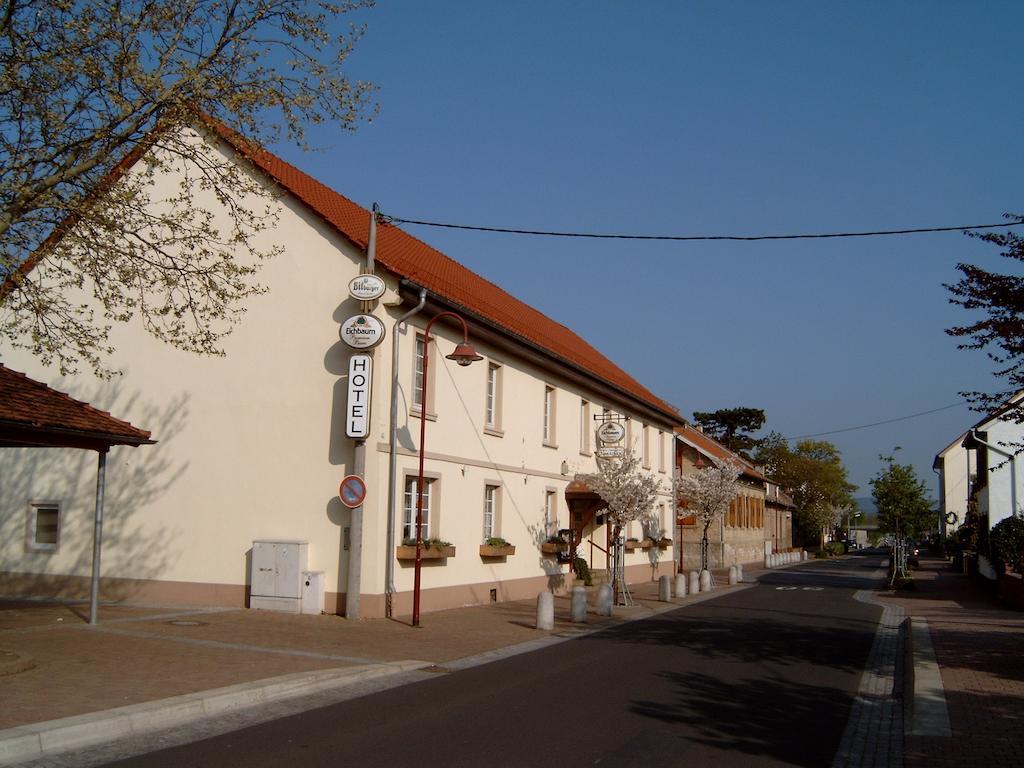 Garni Zum Adler Hotel Gensingen Exterior foto